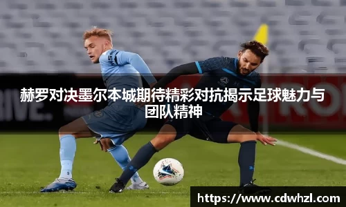 乐动|LDSports官网