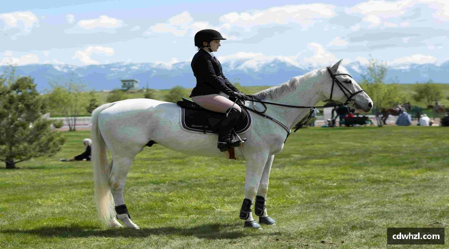 乐动|LDSports官网互动不停，一起为热爱呐喊！💬🎉